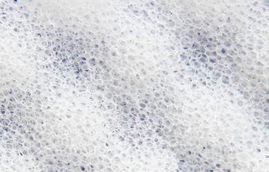 Similar image 293917