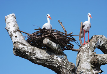 Similar image 293920