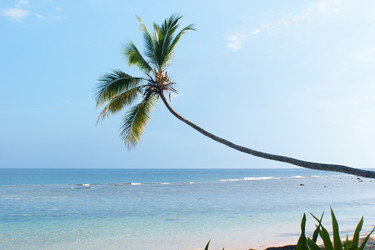 Similar image 293935