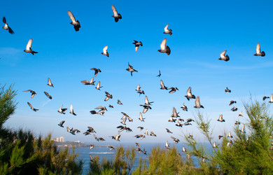 Similar image 293973