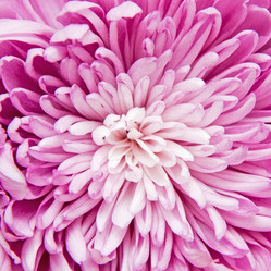 Similar image 293978