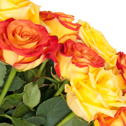 Similar image 293981