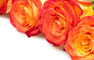 Similar image 293988