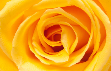 Similar image 293992