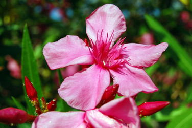 Similar image 294014