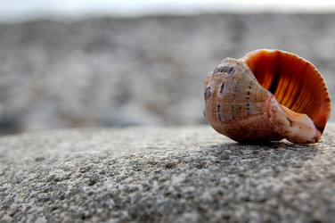 Similar image 294019