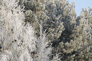 Similar image 294042