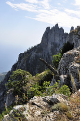 Similar image 294045