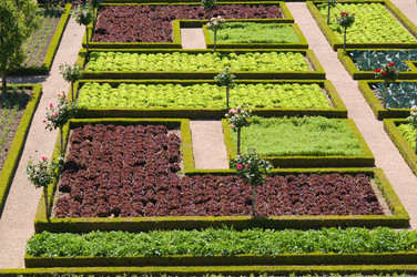 Similar image 294052