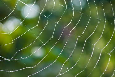 Similar image 294056