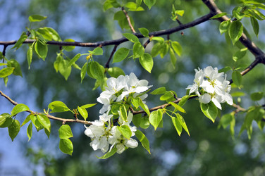 Similar image 294061