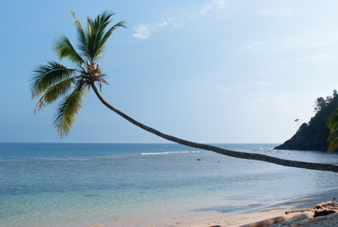 Similar image 294308