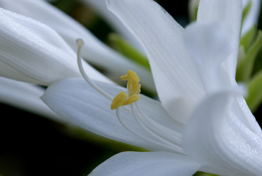 Similar image 294317