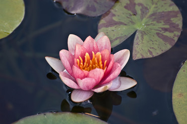 Similar image 294318