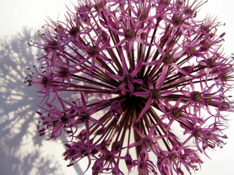 Similar image 294319