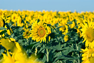 Similar image 294321