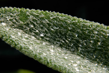 Similar image 294324