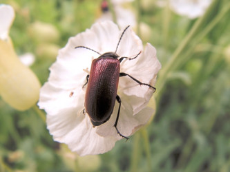 Similar image 294328