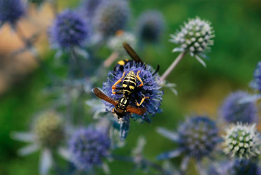 Similar image 294330