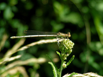 Similar image 294335