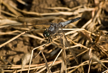 Similar image 294341