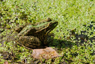 Similar image 294343