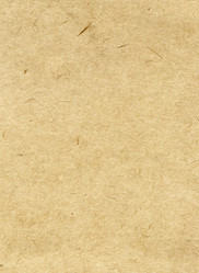 Similar image 294353