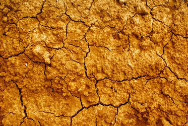 Similar image 294383