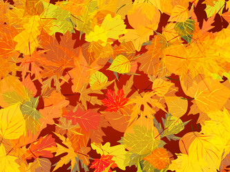 Similar image 294385