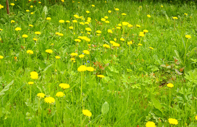 Similar image 294389