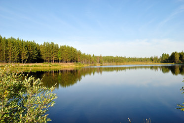 Similar image 294392