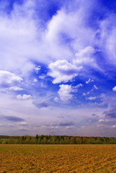 Similar image 294394