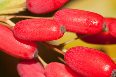 Similar image 294396