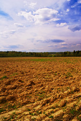 Similar image 294397