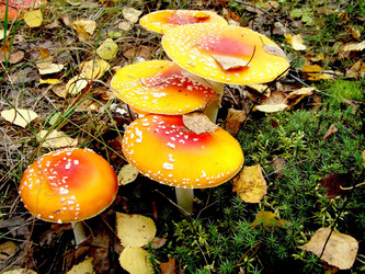 Similar image 294398