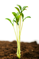 Similar image 294444