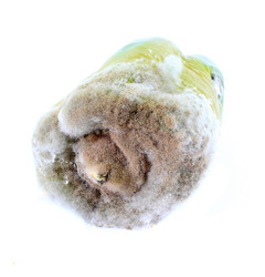 Similar image 294466