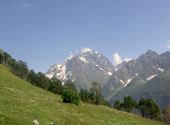 Similar image 294516