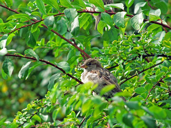 Similar image 294517