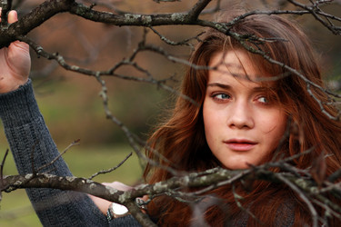 Similar image 294525