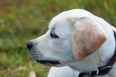 Similar image 294577