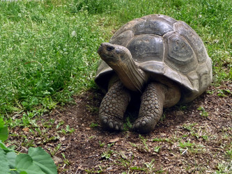 Similar image 294593