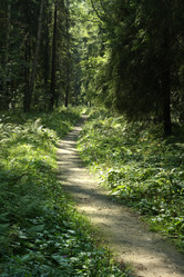 Similar image 294659