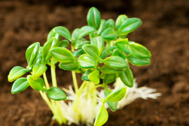 Similar image 294676