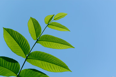 Similar image 294681