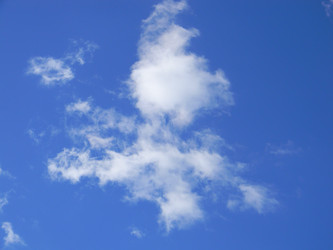 Similar image 294701