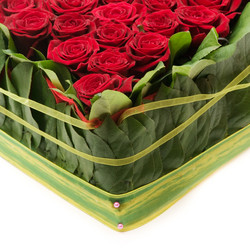 Similar image 294732