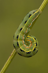 Similar image 294787