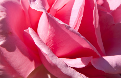 Similar image 294790