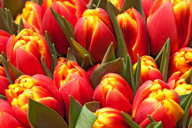 Similar image 294799